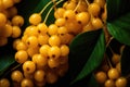 Ripe Chinese lemongrass, yellow shrub with leaves