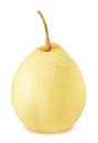 Ripe chinese pear with stem isolated Royalty Free Stock Photo