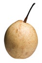 Ripe Chinese pear Royalty Free Stock Photo