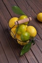 Ripe citrus fruits with leaves