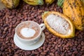 Ripe cocoa pod and beans setup on rustic wooden background