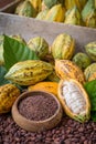 Ripe cocoa pod and nibs, cocoa beans setup background