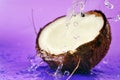 Ripe coconut Royalty Free Stock Photo