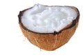 Ripe coconut Royalty Free Stock Photo