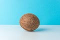 Ripe coconut on blue background. Creative summer minimal concept Royalty Free Stock Photo