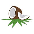 Ripe coconut cartoon. Royalty Free Stock Photo