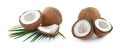 Ripe coconut halves isolated. Banner design