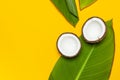 Ripe coconut and tropical leaves on yellow colored background, minimal flat lay style top view. Pop art design, creative summer Royalty Free Stock Photo