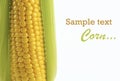 Ripe corn