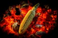 Ripe corn cob is fried on red hot coals, close-up Royalty Free Stock Photo