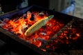 Ripe corn cob is fried on red hot coals Royalty Free Stock Photo