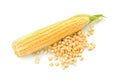 Ripe corn cob and kernels on white background Royalty Free Stock Photo