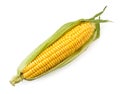 Ripe corn cob in leaves on a white, isolated. The view of the top Royalty Free Stock Photo