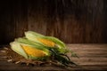 ripe corn on the cob lies on a wooden table against the background of an old wooden wall. artistic photo in rustic style with copy Royalty Free Stock Photo
