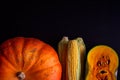 Ripe corn cobs and pumpkin on dark wooden background, top view. Autumn coming, thanksgiving day concept Royalty Free Stock Photo