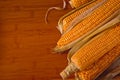 Ripe corn cobs on a wooden table Royalty Free Stock Photo