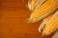 Ripe corn cobs on a wooden table Royalty Free Stock Photo
