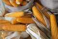 Ripe Corn. The corns have been harvested and collected Royalty Free Stock Photo