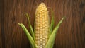 Ripe Corn Ear on Rustic Wood Background with Copy-Space Royalty Free Stock Photo