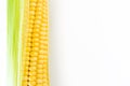 Ripe corn grains on cob. White background. Closeup isolated macro Royalty Free Stock Photo