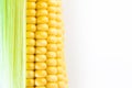 Ripe corn grains on cob. White background. Closeup isolated macro Royalty Free Stock Photo