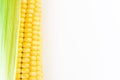 Ripe corn grains on cob. White background. Closeup isolated macro Royalty Free Stock Photo