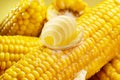 Ripe corn heads with corn whiskers and leaves Royalty Free Stock Photo