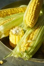 Ripe corn in a tray on a gray background, vertical