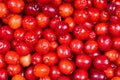 Ripe cornelian cherry Royalty Free Stock Photo