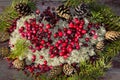 Ripe cranberries in the background of fir branches