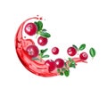 Ripe cranberries with leaves in splashes of juice isolated on white background