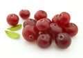 Ripe cranberry Royalty Free Stock Photo