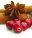 Ripe cranberry Royalty Free Stock Photo