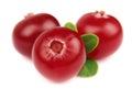 Ripe cranberry Royalty Free Stock Photo