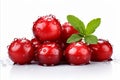 Ripe cranberry isolated on white background, perfect for culinary and healthy living concepts