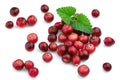 Ripe cranberry with a mint Royalty Free Stock Photo