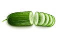 Ripe cucumber cut segment Royalty Free Stock Photo