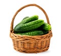 Ripe cucumbers in basketon a white background. Isolated