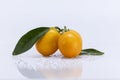 Ripe Cumquat or Kumquat fruit on white background Royalty Free Stock Photo