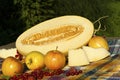 Still life with cut melon, melon slices, apples, red currants and raspberries Royalty Free Stock Photo