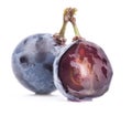 Ripe dark grapes on white background