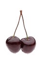 Ripe dark red cherries Royalty Free Stock Photo