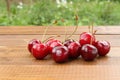 Ripe dark red cherries on a brown wooden table against green grass background Royalty Free Stock Photo