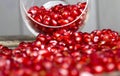 grains of ordinary red pomegranate