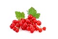Ripe delicious red currant white background. Royalty Free Stock Photo