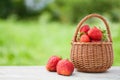 Ripe delicious strawberries in a wicker basket on an old wooden table Royalty Free Stock Photo