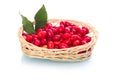 Ripe dogberries with leaves in basket