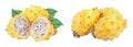 Ripe Dragon fruit, Pitaya or Pitahaya yellow isolated on white background, fruit healthy concept Royalty Free Stock Photo