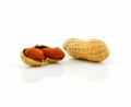 Ripe Dried Peanut Isolated on White Royalty Free Stock Photo