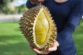 A ripe durian in the Fruit farmers hands